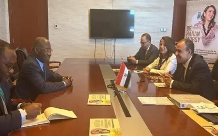 عبد العاطي يبحث مع وزير خارجية كوت ديفوار تعزيز التعاون في مختلف القطاعات