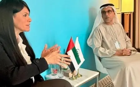 المشاط : نتوقع نمو الاقتصاد المصرى بنسبة 4% في العام المالي الجارى