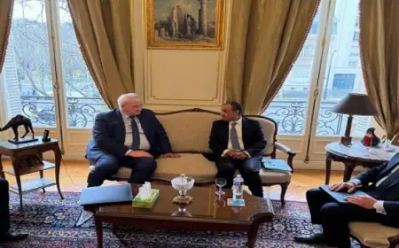 وزير الخارجية يلتقى نظيره الأوكرانى فى باريس