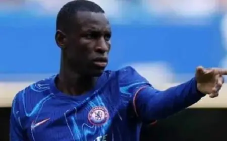 تشيلسى يؤكد غياب مهاجمه السنغالى جاكسون لمدة تصل إلى شهرين