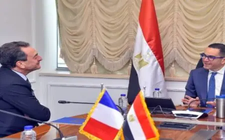 وزير الاستثمار يبحث مع ” إيرباص هليكوبتر” الفرنسية إنشاء منظومة طيران متكاملة فى مصر