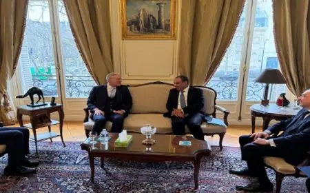 وزير الخارجية يؤكد لنظيره اللبنانى استعداد مصر لتقديم كافة أشكال الدعم للبنان الشقيق