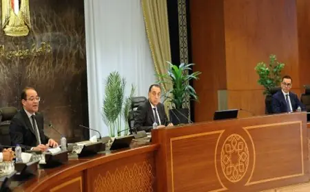 وزيرا المالية والاستثمار: نعمل معا بتناغم وتنسيق كامل لإقرار “حزمة تسهيلات” لتبسيط وتيسير حركة التجارة الخارجية