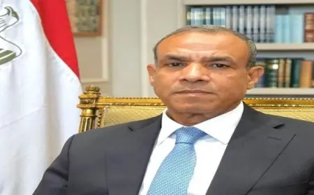 عبد العاطى يشارك فى غداء عمل مع عدد من وزراء خارجية الدول العربية والغربية المشاركين فى اجتماع باريس