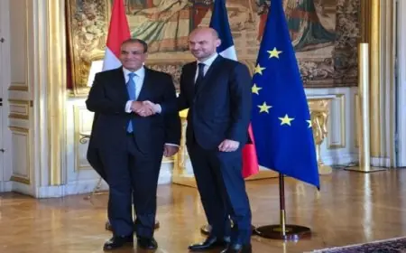 وزير الخارجية يستعرض مع نظيره الفرنسى جهود مصر فى تثبيت اتفاق وقف إطلاق النار فى غزة