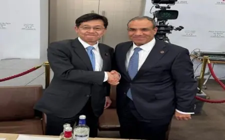 وزير الخارجية يلتقى النائب البرلماني لوزير خارجية اليابان فى باريس