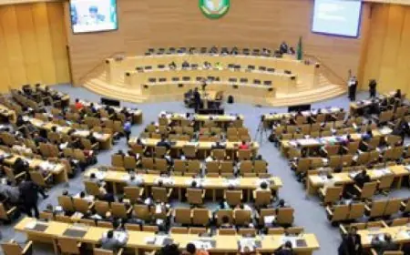 إطلاق منصة الاستثمار الافتراضية في أفريقيا على هامش قمة الاتحاد الأفريقى