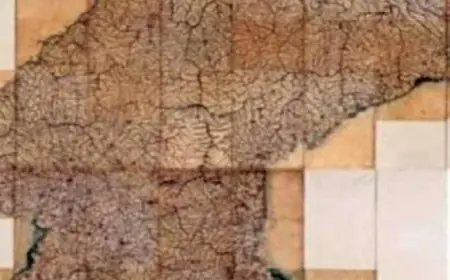 بيع خريطة نادرة من القرن الـ19 بـ685 ألف دولار فى مزاد سيول