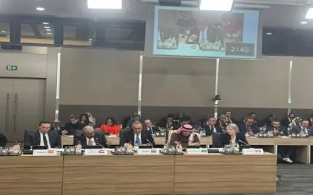 وزير الخارجية يؤكد أمام “وزارى سوريا” فى باريس ضرورة الحفاظ على وحدة وسلامة الأراضى السورية