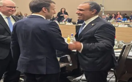 وزير الخارجية ينقل رسالة ترحيب من الرئيس السيسى للرئيس الفرنسى