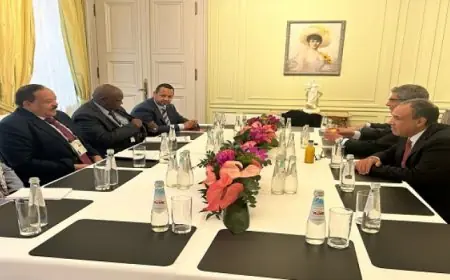 وزير الخارجية يؤكد دعم مصر الكامل للشعب السودانى الشقيق