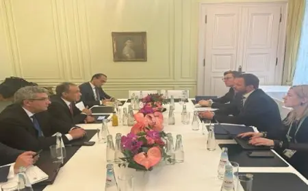 وزير الخارجية يشيد بتنامى العلاقات بين مصر وإستونيا