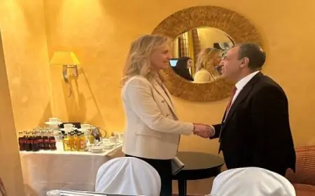 عبد العاطى يؤكد لنظيرته الأيسلندية على أهمية العمل على زيادة حجم التبادل التجارى بين البلدين