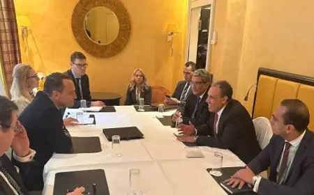 وزير الخارجية يؤكد أهمية دعم بولندا للأولويات المصرية داخل أروقة الاتحاد الأوروبى