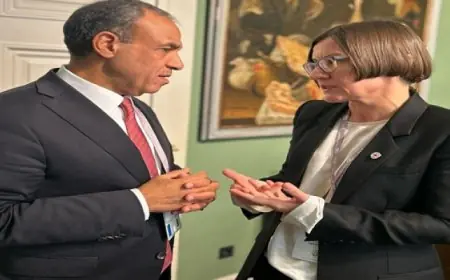 خلال لقاء رئيسة اللجنة الدولية للصليب الأحمر.. عبد العاطى يؤكد الاهتمام الذى توليه مصر للنفاذ السريع للمساعدات الإنسانية لغزة