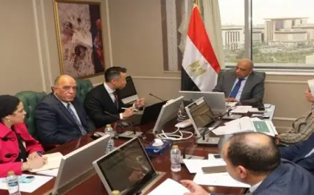 مصر تبحث مع الصين سبل دعم وتعزيز التعاون فى مجالات الطاقة المتجددة وتطوير الشبكات