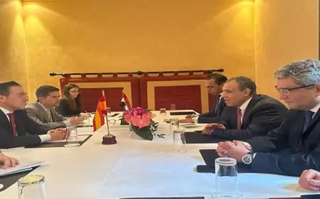 وزير الخارجية يشيد بالمواقف الإيجابية لإسبانيا الداعمة لمصر داخل الاتحاد الأوروبى