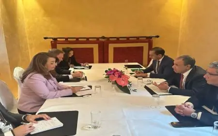 وزير الخارجية يلتقى المُديرة التنفيذية لمكتب الأمم المُتحدة المعنى بالمخدرات والجريمة