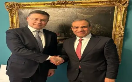 وزير الخارجية لـ “مفوض أوروبى”: الدولة مستمرة فى دعم القطاع الخاص وتشجيع الاستثمارات الأجنبية