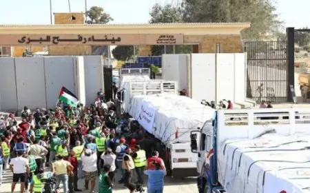 “الأونروا”: نشهد زيادة كبيرة في تسليم المساعدات الإنسانية إلى غزة بعد سريان اتفاق وقف إطلاق النار