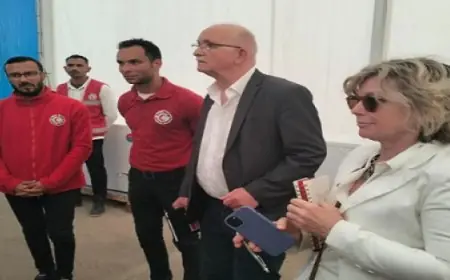 وفد من أعضاء البرلمان الأوروبى يصل إلى مطار العريش