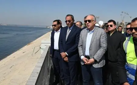 وزير الرى يصل لمحافظة قنا ويتفقد تطهيرات ترعة الكلابية ومحطة الشنهورية