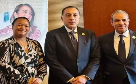 رئيس الوزراء يلتقى المديرة التنفيذية للآلية الأفريقية لمراجعة النظراء