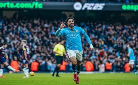 الهاتريك يكشف وجه مرموش الشرير في ليلة عبور نيوكاسل