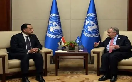 سكرتير عام الأمم المتحدة يشيد بالجهود المصرية المبذولة من أجل دعم القضية الفلسطينية