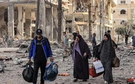 “ماعت”: التهجير القسرى للفلسطينيين تهديد غير مسبوق لحقوق الإنسان واستقرار المنطقة بأكملها