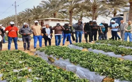 وزير الرى : مصر أنشأت المركز الإفريقي للمياه والتكيف المناخى PACWA تحت مظلة مبادرة AWARe لخدمة الدول الإفريقية