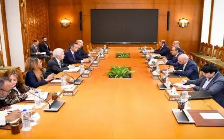 وزير الخارجية يستعرض جهود مصر لبلورة ت متكامل للتعافى المبكر وإعادة إعمار غزة