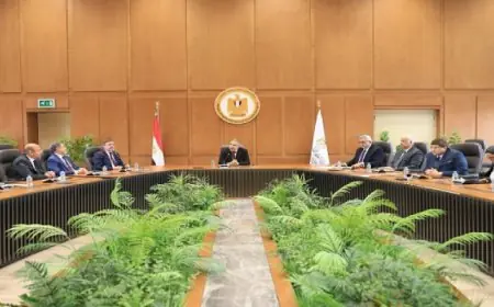 اجتماع مشترك لقيادات التعليم العالى مع أعضاء البعثة التعليمية البريطانية