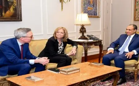 وزير الخارجية يؤكد أهمية العمل نحو زيادة حجم استثمارات الشركة النرويجية فى مصر