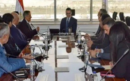 وزير الاستثمار يبحث مع ممثلى مجموعة أكوا باور السعودية تعزيز التعاون فى مجال الطاقة المتجددة