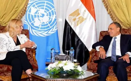 وزير الخارجية يشدد على ضرورة تكثيف وتيرة دخول المساعدات الإنسانية لقطاع غزة