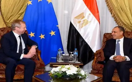 وزير الخارجية: مصر تعمل على تطوير ت شامل للتعافي المبكر وإعادة إعمار غزة دون تهجير