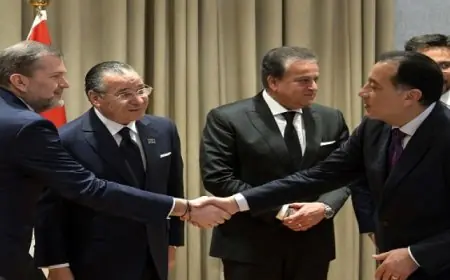 مدبولى يستعرض مع مجموعة مستشفيات “سان دوناتو” الإيطالية سبل إقامة مستشفى وجامعة جديدين