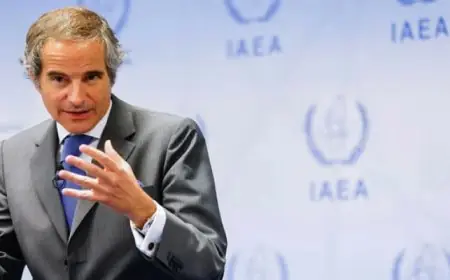 رئيس الوكالة الدولية للطاقة الذرية يبدأ زيارة لليابان