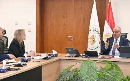 وزير الرى يبحث مع مسؤولة بالبنك الأوروبى للإعمار التعاون بمجال إدارة الموارد المائية
