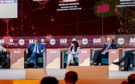 المشاط: مبادلة الديون بالعمل المناخى أحد الأدوات المبتكرة لتمويل مشروعات التخفيف والتكيف