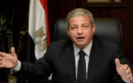 رئيس الأعلى للإعلام: أهمية توظيف العمل الإعلامى العربى لدعم القضية الفلسطينية