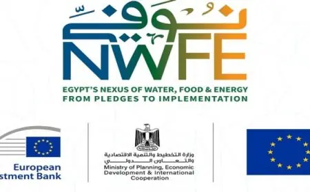 المشاط: عقود لتنفيذ مشروعات بقدرة 4.2 جيجاوات من 10 جيجاوات ضمن محور الطاقة بـ«نُوَفِّى»