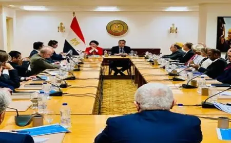 الخارجية تستضيف فعاليات اليوم الثاني للاجتماع الرابع للتحالف الدولي لتنفيذ حل الدولتين