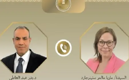 وزير الخارجية: حل الدولتين يظل المسار الوحيد لتحقيق السلام في المنطقة