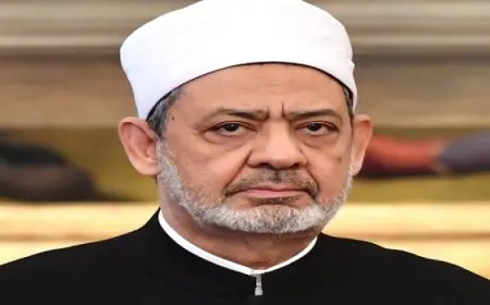 شيخ الأزهر يدعو لوقف خطابات الكراهية وتعزيز وحدة الصف الإسلامى