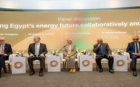 وزيرة البيئة تشارك فى الجلسة النقاشية الوزارية حول مستقبل الطاقة فى مصر