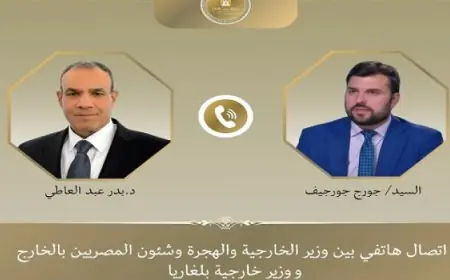 بدر عبد العاطى يؤكد قيام مصر بوضع ت شامل ومتعدد المراحل للتعافى المبكر وإعادة الإعمار فى غزة