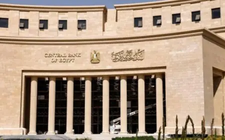 البنك المركزى يحسم اليوم مصير سعر الفائدة