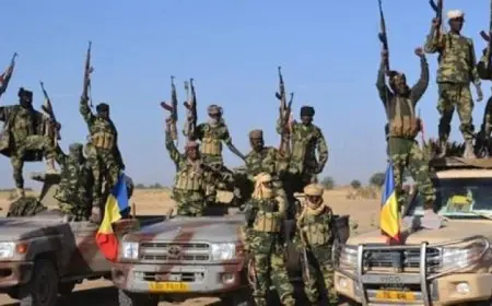 الجيش التشادى يعلن انتهاء هجومه المضاد على «بوكو حرام» مؤكداً القضاء على ملاذاتها فى تشاد
